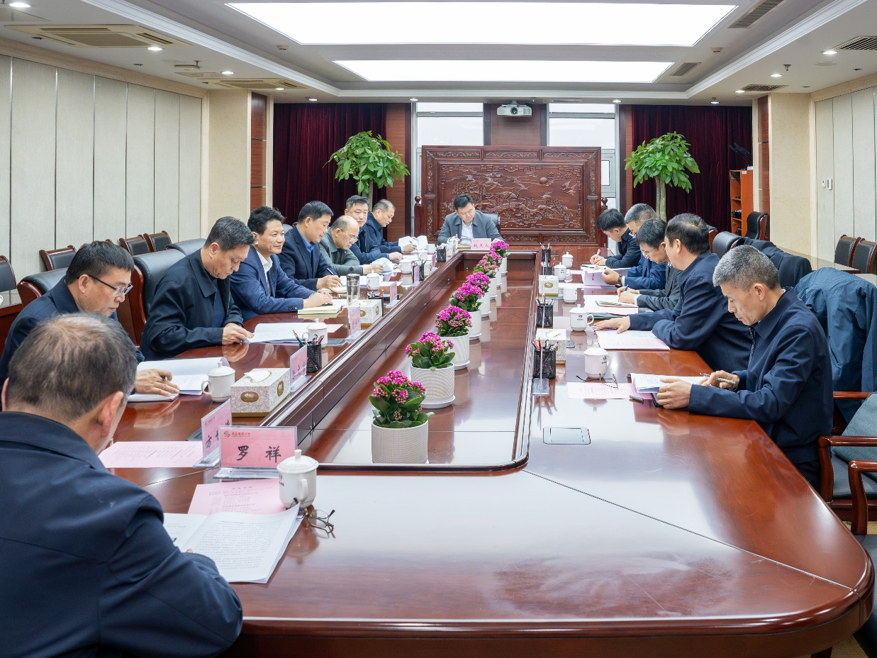 集團(tuán)公司與國能神皖公司舉行工作會談